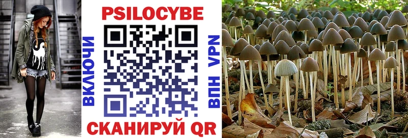 Галлюциногенные грибы MAGIC MUSHROOMS как найти наркотики Касли